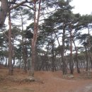 31호선 국도변(화청마을) | 고모산성, 진남교반, 수태극, 오정산