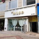 뮤즈헤어갤러리 이미지