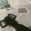 하나헤어샵 케라틴 클리닉 복구 클리닉 후기