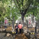 부산진성공원 북문 이미지