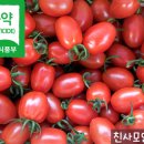 Re:전환유기재배 대추방울토마토 2kg판매합니다. 이미지