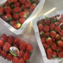 길주중학교 | 느긋하ㄷr