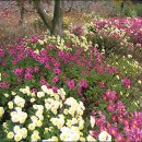 엄씨농장 이미지