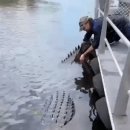 huge crocodile 이미지