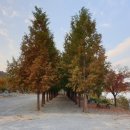 청풍호반 오토캠핑장 이미지