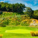 영동 일라이트CC 이미지