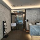 강남-211 이미지