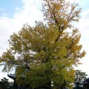 반도여관 이미지