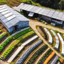 대신주말농장 정보화마을 이미지