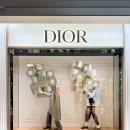 한국지엠변동바로서비스 | 싱가포르 디올 보고 한국에서 산 이유｜캐시미어 니트·스카프 구매 후기