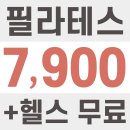 더블유피티스튜디오 | 파주 헬스장 베스트 추천 top 10