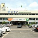 신호등카서비스 이미지