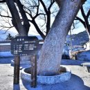 여석마을회관 이미지