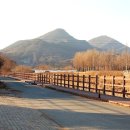 미대동식당 이미지