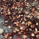 냉천골약수터 이미지