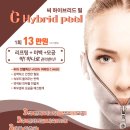 필로엘 이미지
