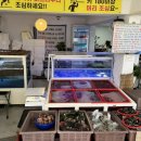 반송시장 해산물은 창원 수산대전 가능한 꼬마수산 내돈내먹(산낙지,굴,가리비)