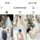 웨딩준비 🤍 디아이아몬드 아이폰스냅 가성비스냅 결혼식아이폰스냅 계약후기 &lt;짝꿍할인/페이백적립&gt;