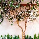 용인예치과의원 이미지