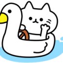 그루머노마