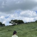 제주산굼부리분화구 | 제주 동쪽여행 추천, 제주 산굼부리 여름에 다녀온 후기