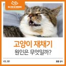 중산동물병원 이미지