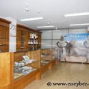 오리엔트 메디 이미지