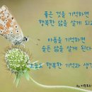 태광파크 이미지