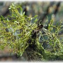 우신정사 이미지