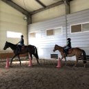 임자남초등학교 이미지