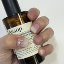 비겐바디케어수원화서점 | [수원/화서역] 포히네일 | 크리스마스 느낌 물씬 짧은 손톱 네일도 잘하는 수원네일 맛집