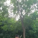 강남스즈키음악학원