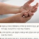 소론도정 효능 및 부작용 (부신피질 호르몬제, 술) 이미지