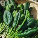 자연슈퍼 이미지