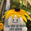저스트커피 이미지
