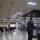 공항 동물병원 이미지