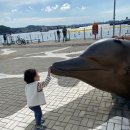 구봉낚시마트 | 여수 아브리코 풀빌라 프리미엄 스위트｜내돈내산 후기｜9명 대가족 여행