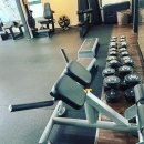 탑 오브 피티 이미지