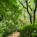 달맞이로71 이미지