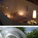 보금자리주유소 이미지