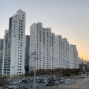 신촌애견미용실 이미지