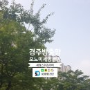 세정스위츠리버 | 경주방충망 경주미세방충망 세정스위츠리버아파트 교체후기~