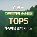 송이용소 | 강원도 자연휴양림 숲속의집 추천 TOP5 (가족여행·계곡 물놀이)