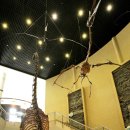 고성공룡박물관 이미지