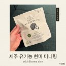 (주)제주유기농 - 제주시 | [아기 간식] 제주레시피 제주 유기농 현미 미니링 브로콜리맛 후기