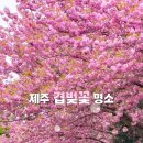 회수동-7 이미지
