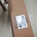 P-5401 | 유니크 풀7셀프도배 소폭합지세트 P7-540102 도배후기