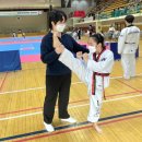 부안 태권도장 이미지