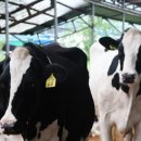 을축목장 이미지