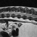 울산동물영상센터 이미지